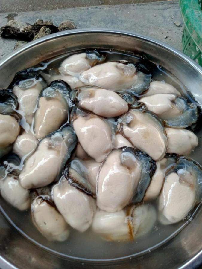 Thai Bao Hotel And Restaurant Chan Chau Exterior foto